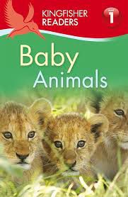 Kingfisher Readers L1 - Baby Animals 